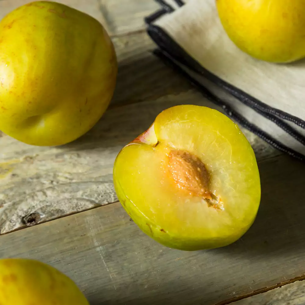 Fast Growing Trees Plum Trees Flavor Queen Pluot® 5 Fast Growing Trees Plum Trees Flavor Queen Pluot®