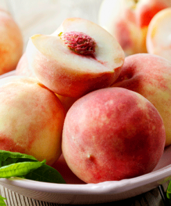 Fast Growing Trees Florida King Peach Tree See All Fruit Trees 7 Fast Growing Trees Florida King Peach Tree See All Fruit Trees