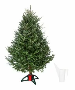 Fast Growing Trees Fresh Cut Christmas Tree Kit