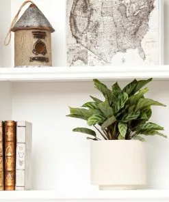 Fast Growing Trees See All House & Patio Freddie Plant 9 Fast Growing Trees See All House & Patio Freddie Plant