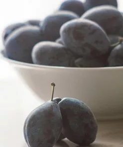 Fast Growing Trees French Prune Tree