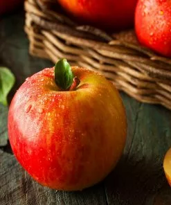 Fast Growing Trees Fuji Apple Tree - USDA Organic