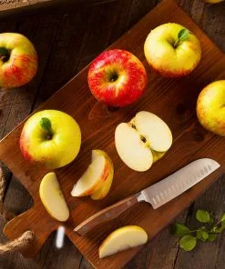 Fast Growing Trees Fuji Apple Tree 10 Fast Growing Trees Fuji Apple Tree