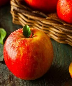 Fast Growing Trees Fuji Apple Tree