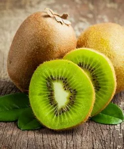 Fast Growing Trees See All Fruit Trees Fuzzy Kiwi - USDA Organic