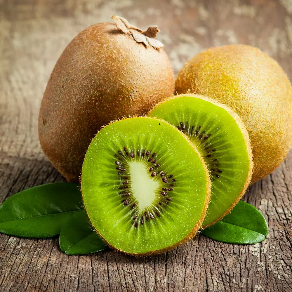 Fast Growing Trees See All Fruit Trees Fuzzy Kiwi 4 Fast Growing Trees See All Fruit Trees Fuzzy Kiwi