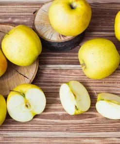 Fast Growing Trees Golden Sentinel Columnar Apple Tree Apple Trees 10 Fast Growing Trees Golden Sentinel Columnar Apple Tree Apple Trees