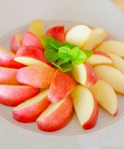 Fast Growing Trees Gala Apple Tree Apple Trees 11 Fast Growing Trees Gala Apple Tree Apple Trees