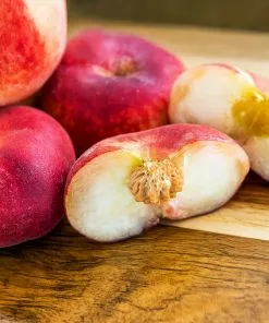 Fast Growing Trees Peach Trees Galaxy Peach Tree 10 Fast Growing Trees Peach Trees Galaxy Peach Tree