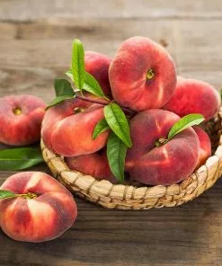 Fast Growing Trees Peach Trees Galaxy Peach Tree