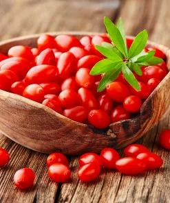 Fast Growing Trees Goji Berry - USDA Organic See All Fruit Trees 10 Fast Growing Trees Goji Berry - USDA Organic See All Fruit Trees