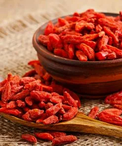 Fast Growing Trees Goji Berry See All Fruit Trees 11 Fast Growing Trees Goji Berry See All Fruit Trees