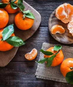 Fast Growing Trees Gold Nugget Mandarin Tree Citrus Trees