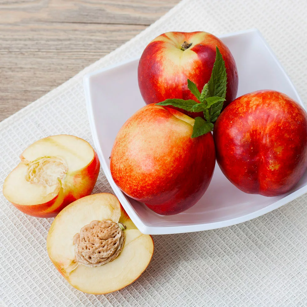 Fast Growing Trees Goldmine Nectarine Tree See All Fruit Trees 4 Fast Growing Trees Goldmine Nectarine Tree See All Fruit Trees