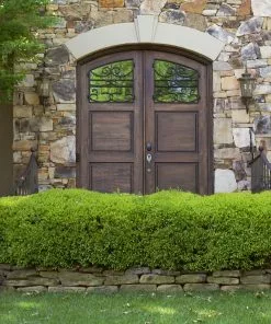 Fast Growing Trees Boxwood Shrubs Green Mountain Boxwood Shrub 7 Fast Growing Trees Boxwood Shrubs Green Mountain Boxwood Shrub