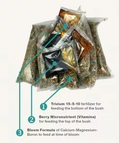 Fast Growing Trees Garden Supplies Berry Bush Care Kit 11 Fast Growing Trees Garden Supplies Berry Bush Care Kit