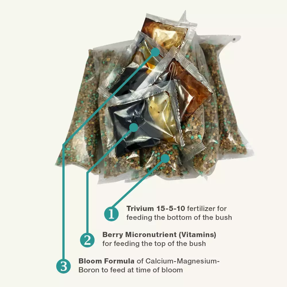 Fast Growing Trees Garden Supplies Berry Bush Care Kit 7 Fast Growing Trees Garden Supplies Berry Bush Care Kit