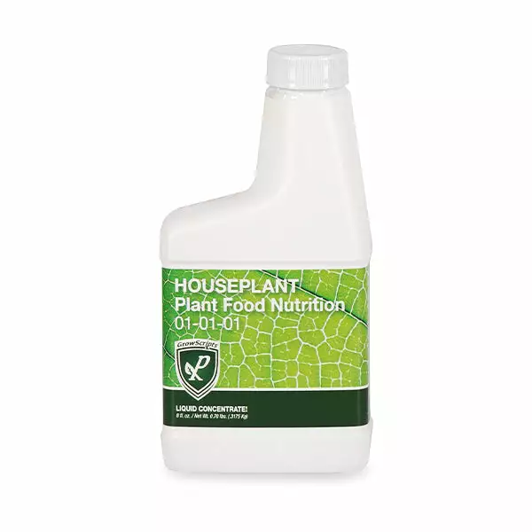 Fast Growing Trees All-Purpose House Plant Fertilizer 3 Fast Growing Trees All-Purpose House Plant Fertilizer