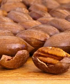 Fast Growing Trees Nut Trees Hardy Pecan 9 Fast Growing Trees Nut Trees Hardy Pecan