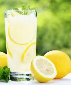 Fast Growing Trees Harvey Lemon Tree