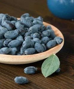 Fast Growing Trees See All Fruit Trees Honeyberry - Blue Velvet™ 7 Fast Growing Trees See All Fruit Trees Honeyberry - Blue Velvet™