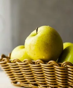 Fast Growing Trees Apple Trees Honeygold Apple Tree