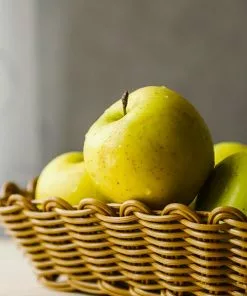 Fast Growing Trees Apple Trees Honeygold Apple Tree