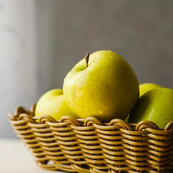 Fast Growing Trees Apple Trees Honeygold Apple Tree 3 Fast Growing Trees Apple Trees Honeygold Apple Tree