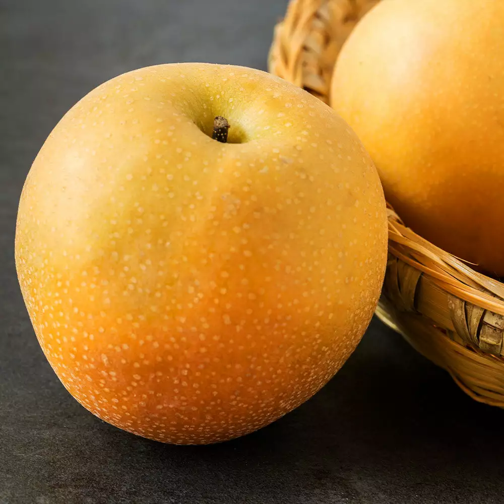 Fast Growing Trees Hosui Asian Pear Tree Pear Trees 6 Fast Growing Trees Hosui Asian Pear Tree Pear Trees