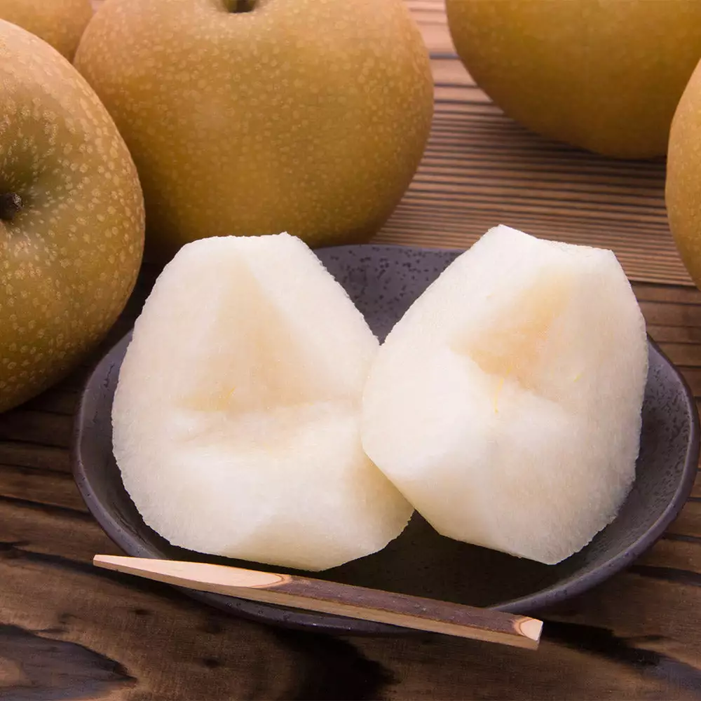 Fast Growing Trees Hosui Asian Pear Tree Pear Trees 5 Fast Growing Trees Hosui Asian Pear Tree Pear Trees