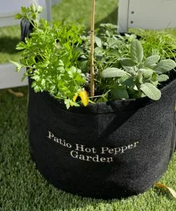 Fast Growing Trees Patio Hot Pepper Garden Urban/Patio Gardening