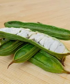 Fast Growing Trees See All House & Patio Ice Cream Bean Tree