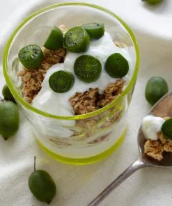 Fast Growing Trees ISSAI Hardy Kiwi 13 Fast Growing Trees ISSAI Hardy Kiwi