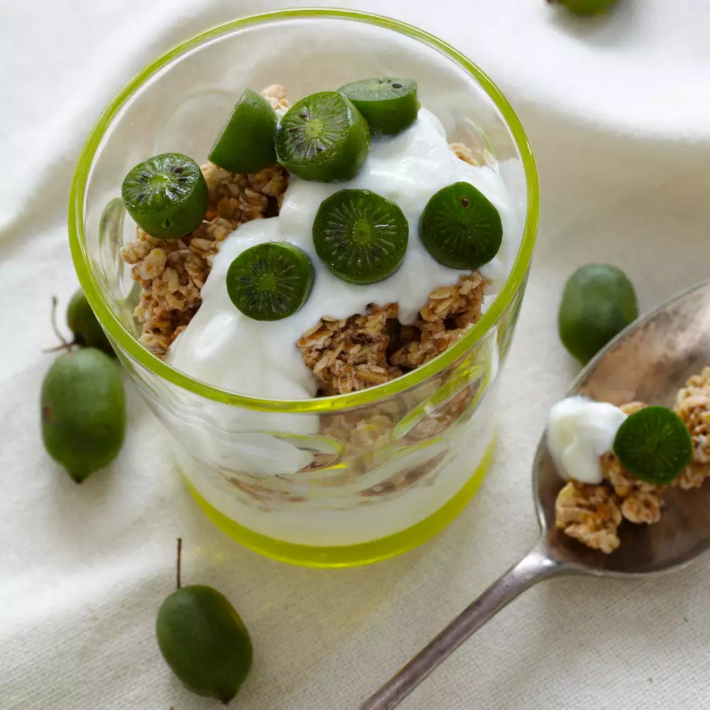 Fast Growing Trees ISSAI Hardy Kiwi 8 Fast Growing Trees ISSAI Hardy Kiwi