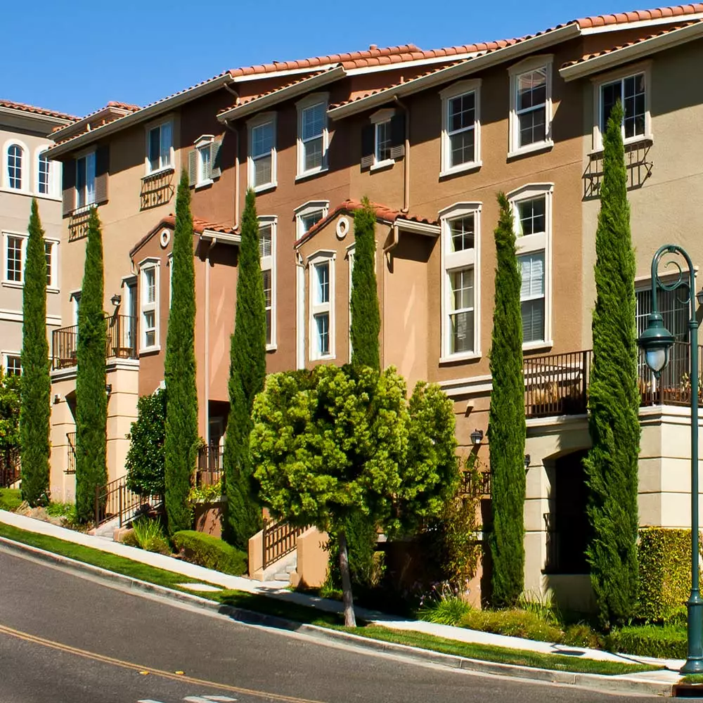 Fast Growing Trees Italian Cypress 8 Fast Growing Trees Italian Cypress