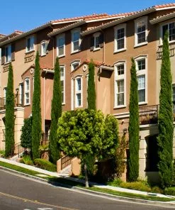 Fast Growing Trees See All Evergreen & Privacy Trees Italian Cypress