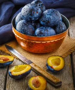 Fast Growing Trees Italian Plum Tree Plum Trees 9 Fast Growing Trees Italian Plum Tree Plum Trees