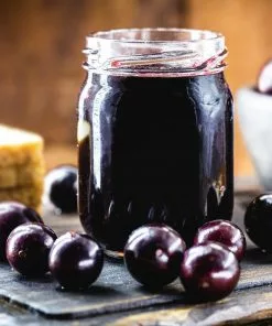 Fast Growing Trees Jaboticaba Tree 15 Fast Growing Trees Jaboticaba Tree