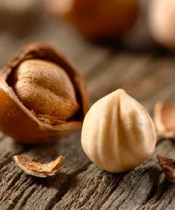 Fast Growing Trees Jefferson Filbert Hazelnut Tree Nut Trees 11 Fast Growing Trees Jefferson Filbert Hazelnut Tree Nut Trees