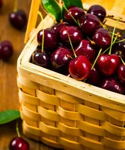 Fast Growing Trees Romeo And Juliet™ Cherry Trees