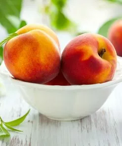 Fast Growing Trees June Gold Peach Tree Peach Trees 10 Fast Growing Trees June Gold Peach Tree Peach Trees