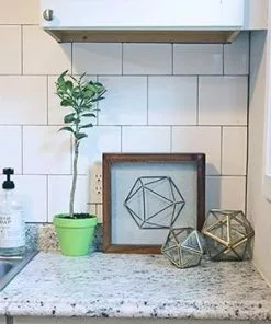 Fast Growing Trees Key Lime Gift Tree Citrus Trees