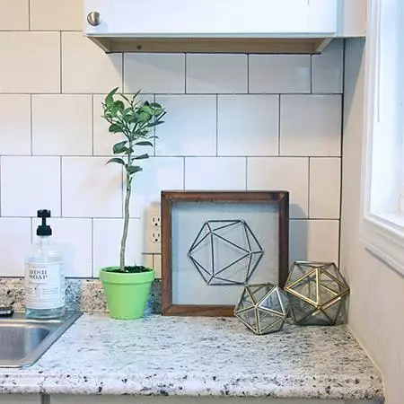 Fast Growing Trees Key Lime Gift Tree Citrus Trees 4 Fast Growing Trees Key Lime Gift Tree Citrus Trees