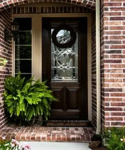 Fast Growing Trees Kimberly Queen Fern Our Newest Arrivals 12 Fast Growing Trees Kimberly Queen Fern Our Newest Arrivals