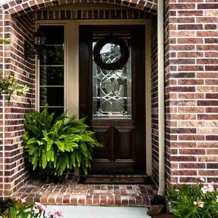 Fast Growing Trees Kimberly Queen Fern Our Newest Arrivals 7 Fast Growing Trees Kimberly Queen Fern Our Newest Arrivals