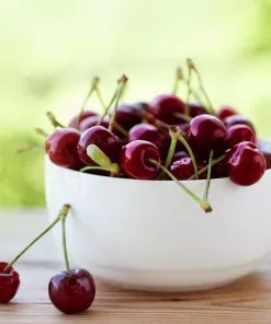 Fast Growing Trees Lapins Cherry Tree Cherry Trees 8 Fast Growing Trees Lapins Cherry Tree Cherry Trees