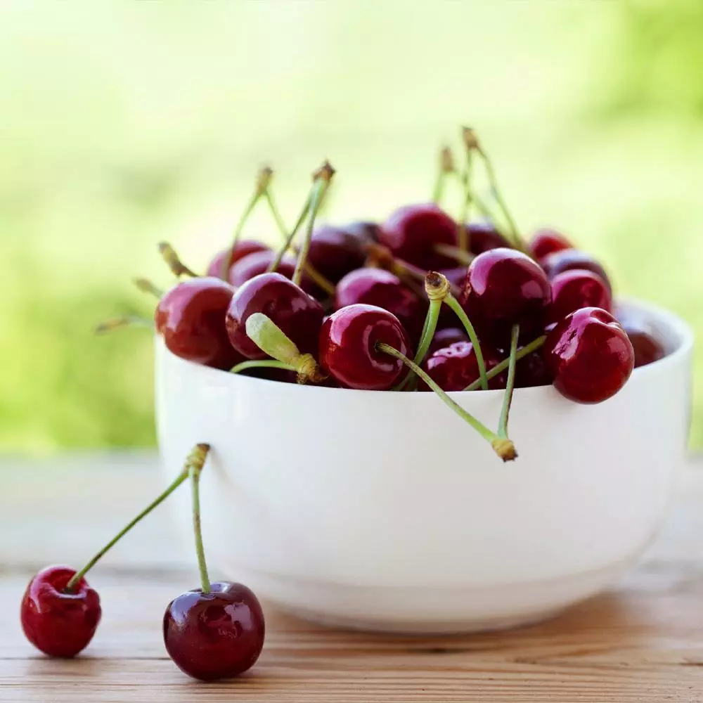 Fast Growing Trees Cherry Trees Lapins Cherry Tree 5 Fast Growing Trees Cherry Trees Lapins Cherry Tree