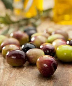 Fast Growing Trees Olive Trees Leccino Olive Tree 7 Fast Growing Trees Olive Trees Leccino Olive Tree