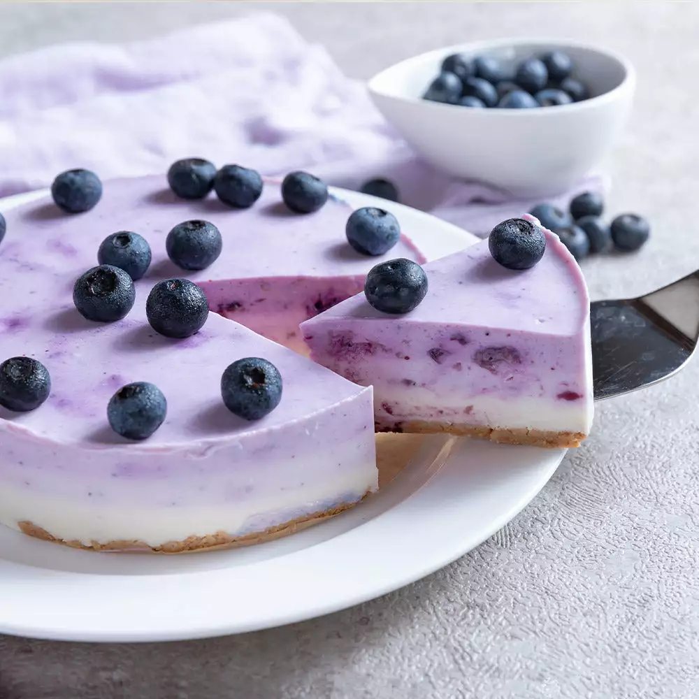 Fast Growing Trees Legacy Blueberry Bush 7 Fast Growing Trees Legacy Blueberry Bush