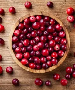 Fast Growing Trees Lingonberry Plant 7 Fast Growing Trees Lingonberry Plant